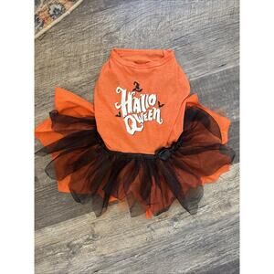 Thrills & Chills Halloween "HALLO QWEEN" Glows In The Dark Dog Dress Medium